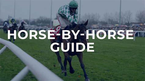 King George VI Chase tips: Horse by horse guide to Kempton .